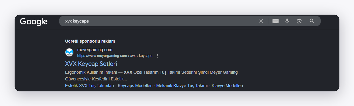 Meyer Gaming Google Ads search ad